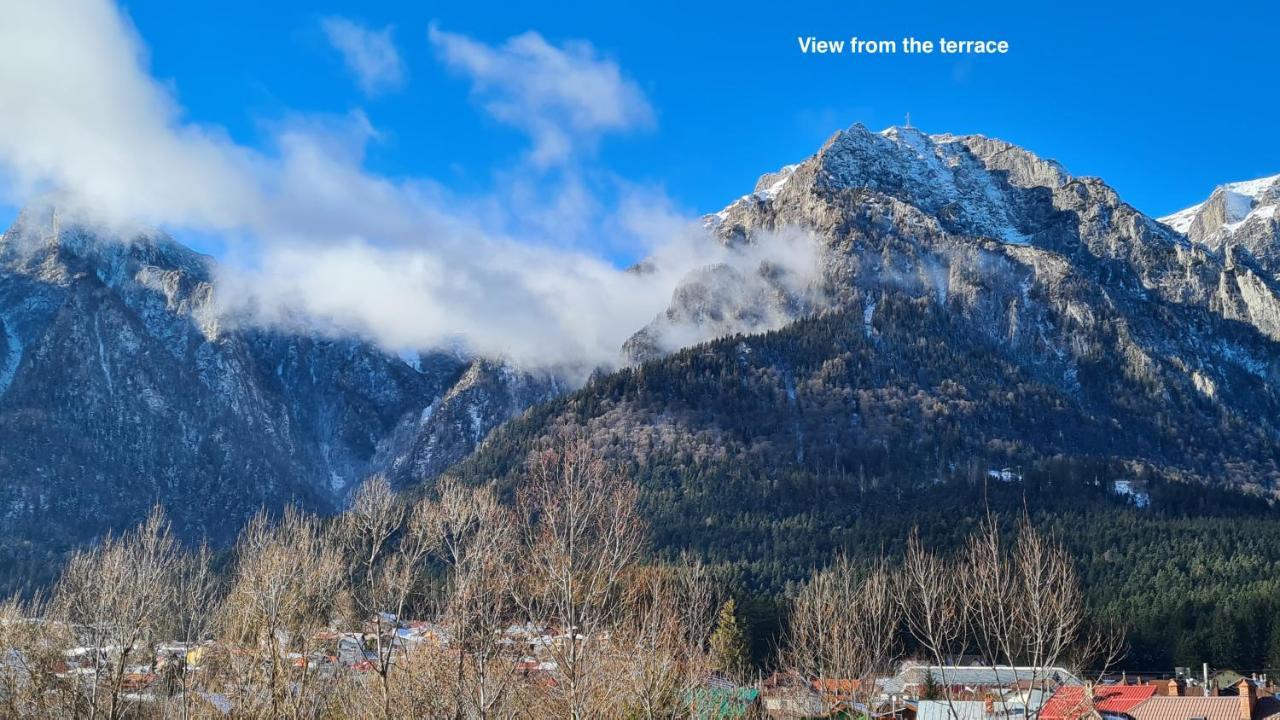 Cozy Riverfront Apartments With Garden And Mountain View Buşteni Eksteriør bilde