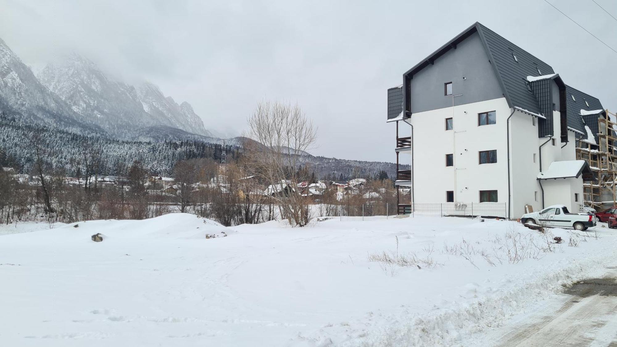 Cozy Riverfront Apartments With Garden And Mountain View Buşteni Eksteriør bilde